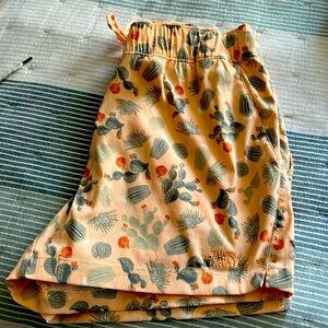 North face nylon shorts
